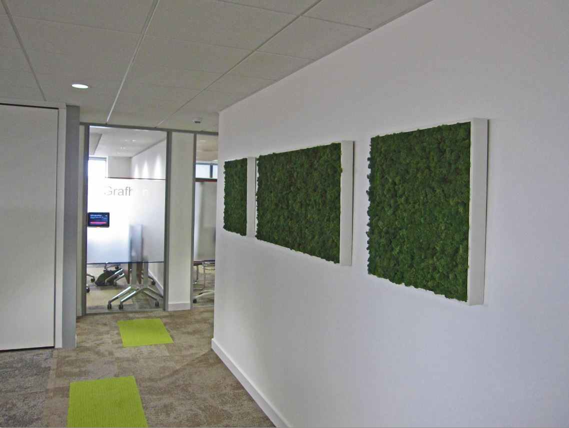 Moss pictures on the walls of birmingham office corridor