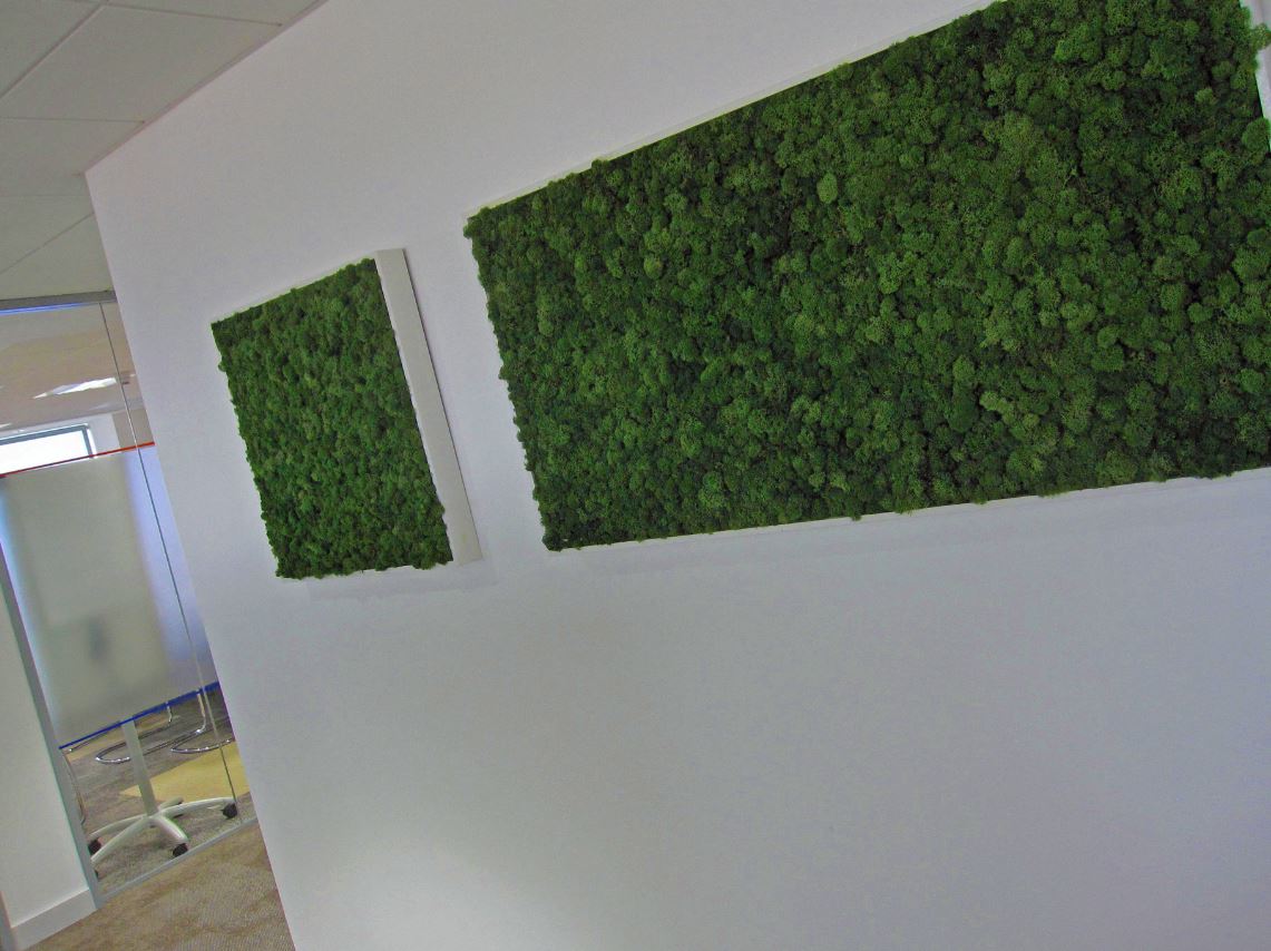Moss walls and pictures supplied to office throughout the west midlands