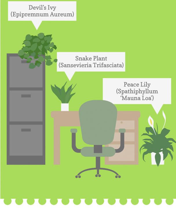 Plants help create a happy and healthy workforce