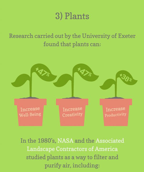 Plants help create a happy and productive workforce
