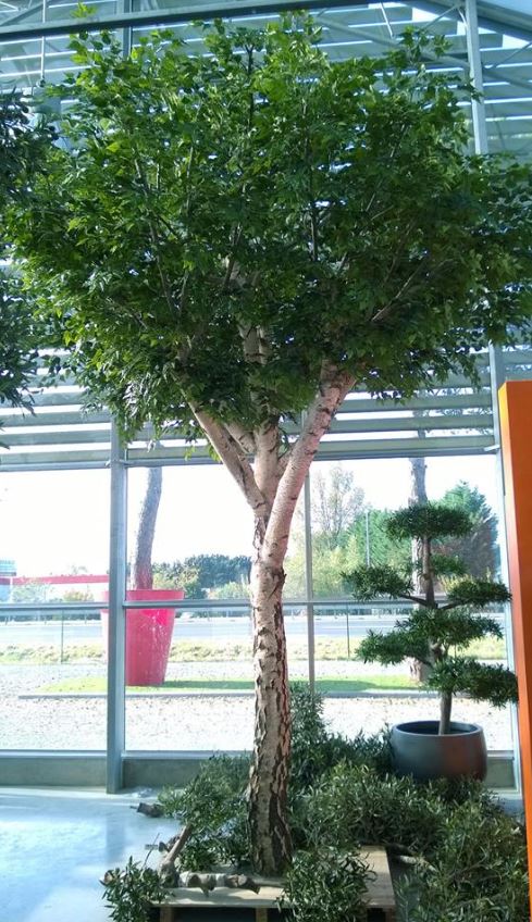 Silver birch artificial tree 4.5m