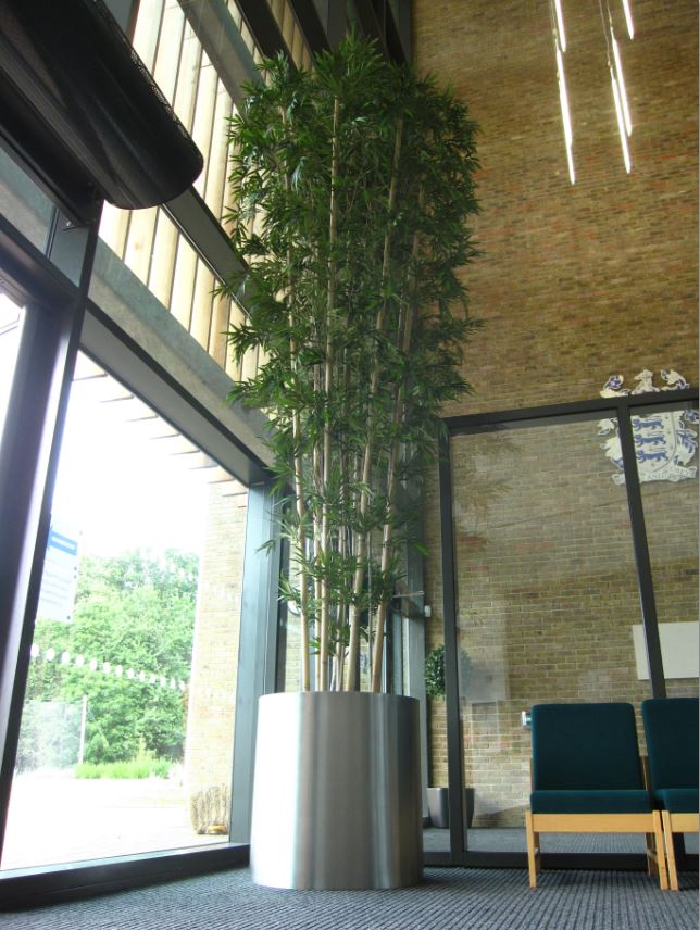 Artificial Bamboo tree for Telford Academy School reception