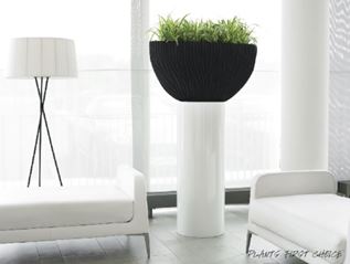Black and white pedestal plant display