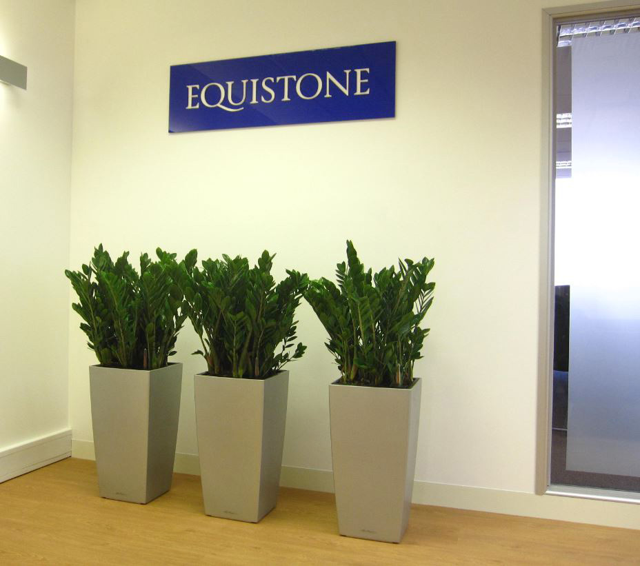 Bank House office Reception plants
