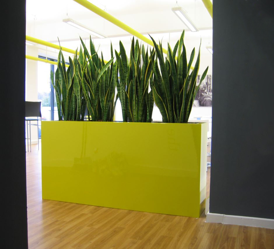 Barrier Plant Displays for Office Restaurant tall rectangular