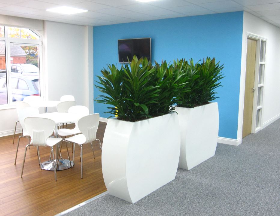 Barrier planting for offices in Derby DE1 3TQ