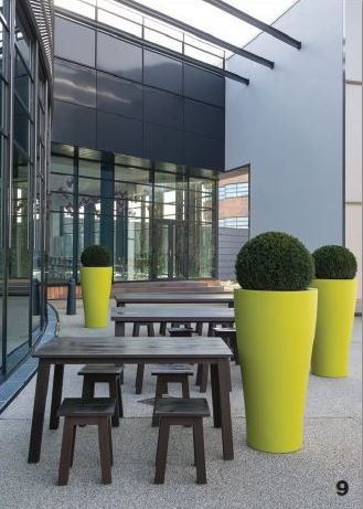Buxus topiary displays for outside seating area