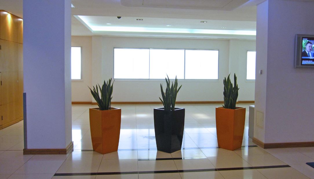 Green Barrier Plant Displays in Colmore Row Reception Birmingham