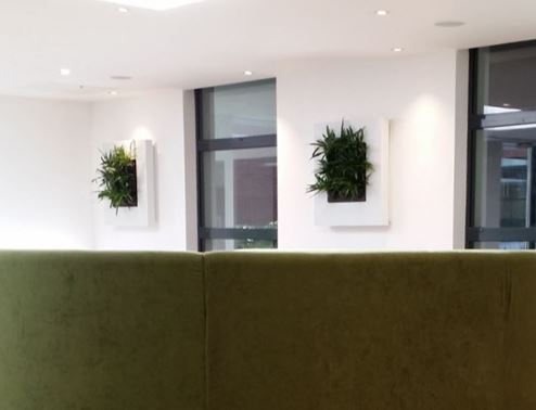 Live Plant Art in London office