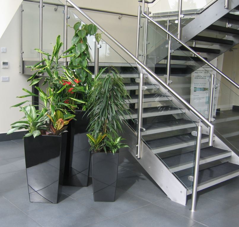 Plant displays at bottom of the stairs to first floor office meeting rooms