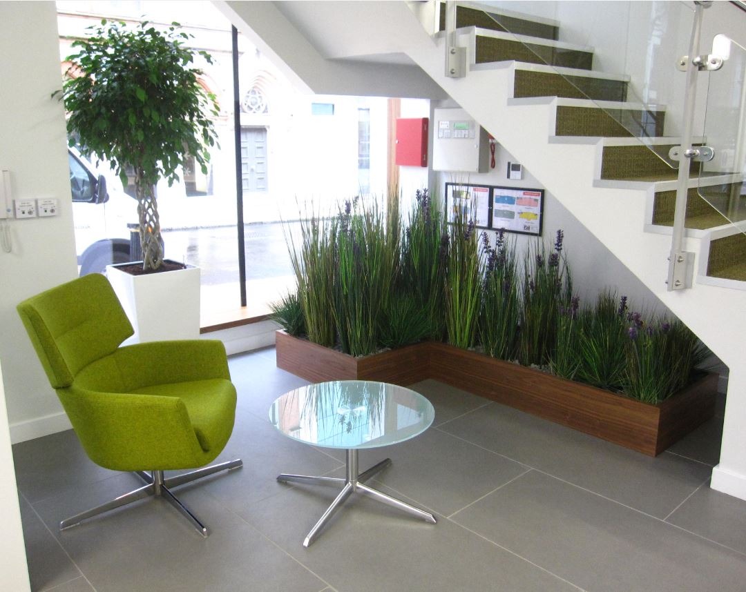 Plant displays for main office Reception at Enterprise House B3 2HJ