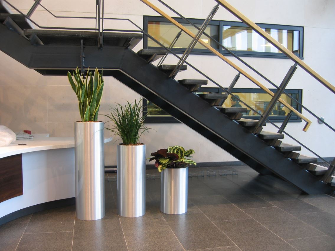 Reception displays for Blythe Valley Midlands HQ offices