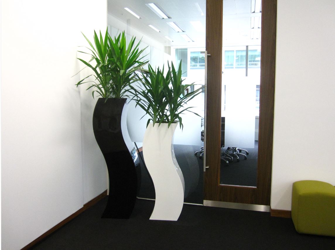 Tall curvy S Planters for Reception Conference area