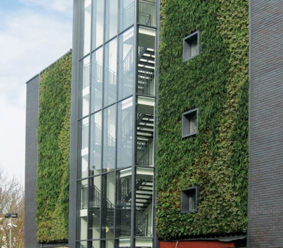Green walls reducing pollution