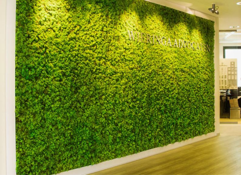 Large Green Moss wall in companies Main Reception