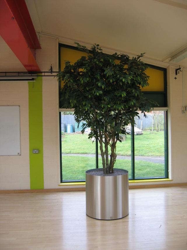 Large plant display for Nelson Mandella School Birmingham