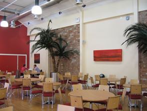 4.0m Phoenix Palms add finishing touch to Stratford Upon Avon office Restaurant