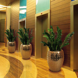 Zamiifolia Plants In Circular Gold Containers in a lift lobby area