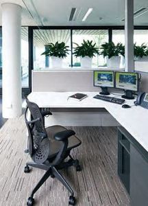 Scientific research shows indoor plants reduce stress.