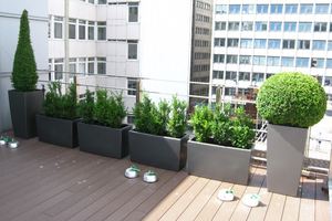 Topiary Roof Garden for city Law Firm