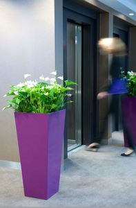 Plants for offices in the city of York