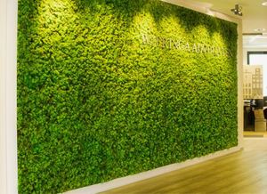 Green Office Walls