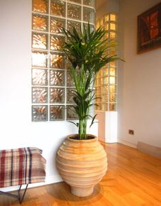 Plants for offices in Birmingham, Walsall, Coventry and Telford