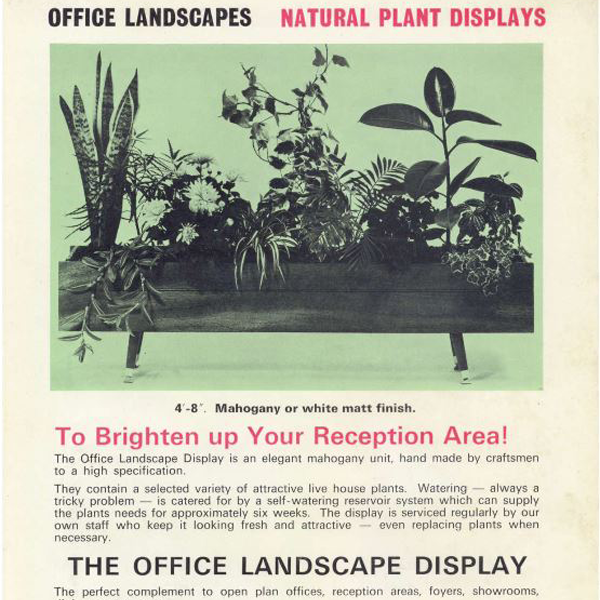 Our First Brochure - Office Landscapes Plant Displays 