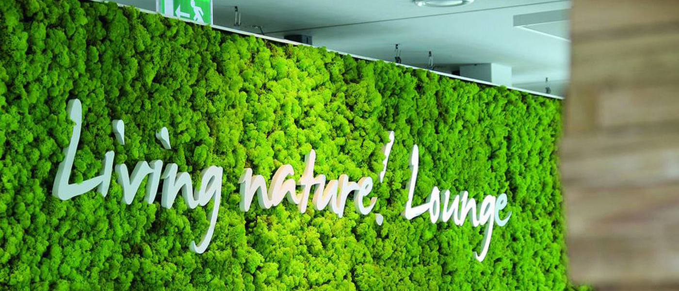 Moss Wall using real preserved moss with a company logo