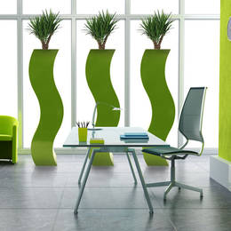 Tall Square Curvy Lime Yucca Planters