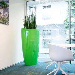 Tall Oval Shaped Contemporary Green Display