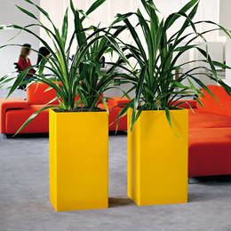 Tall Square Yellow Displays 