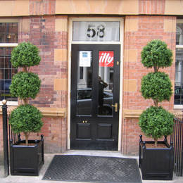 Artificial Triple Ball Topiary Tree Outside Newhall Street Cafe B3