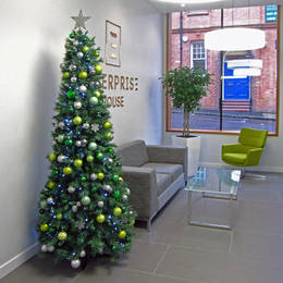 Rent An Artificial Christmas Tree For Enterprise House Birmingham B3 2 Hj