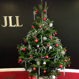 Rent This Christmas Tree For Your Companies Offices. This One Is At 45 Church St  Birmingham