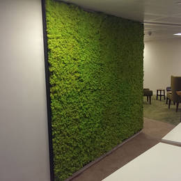 Office Moss Wall