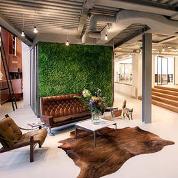 Contemporary Moss Walls for Office Receptions and design led interiors
