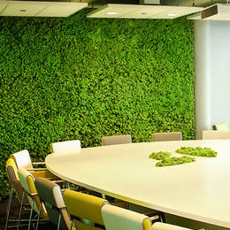 Moss Wall in office Meeting Room