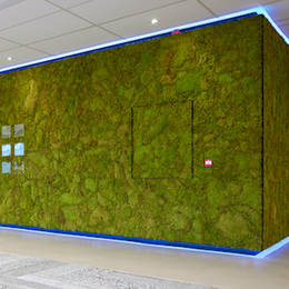Moss Wall in large Atrium