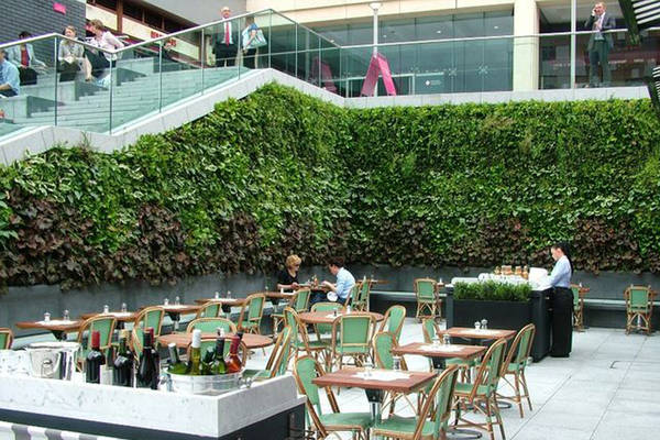 Live Green Walls in Shopping Centre Food Hall