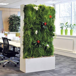 Living Plants Office Divider