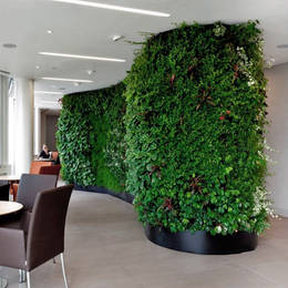 Living Green Walls for shared spaces