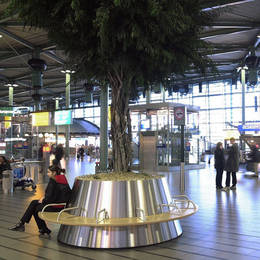 The main passenger hub at Schiphol Airport is greatly improved by these artificial Ficus tree displays with seating around the stainless steel containers