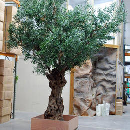 Artificial olive tree foliage is added to the aged gnarled trunk of an old tree