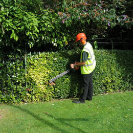 We can take care of all of your companies Hedge Cutting requirements as part of our Grounds Maintenance Services