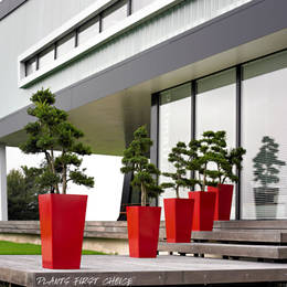 A line of five tall Cubis displays with eye catching topiary Cloud Trees