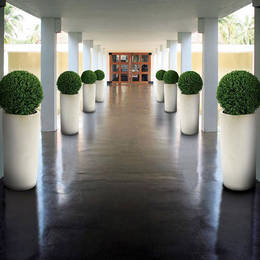 An exterior corridor is greatly improved with four identical buxus ball displays along each side