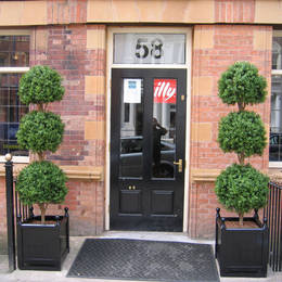 This simple exterior landscaping, frames the entrance to a Cafe with two triple ball topiary trees displays
