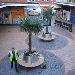 Stainless steel seating planters with Trapycarpus Palms located in a West Midlands shopping centre