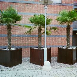 Square wooden Versailles exterior planters make a striking landscaping feature in the courtyard of this city living devolpment in Birmingham